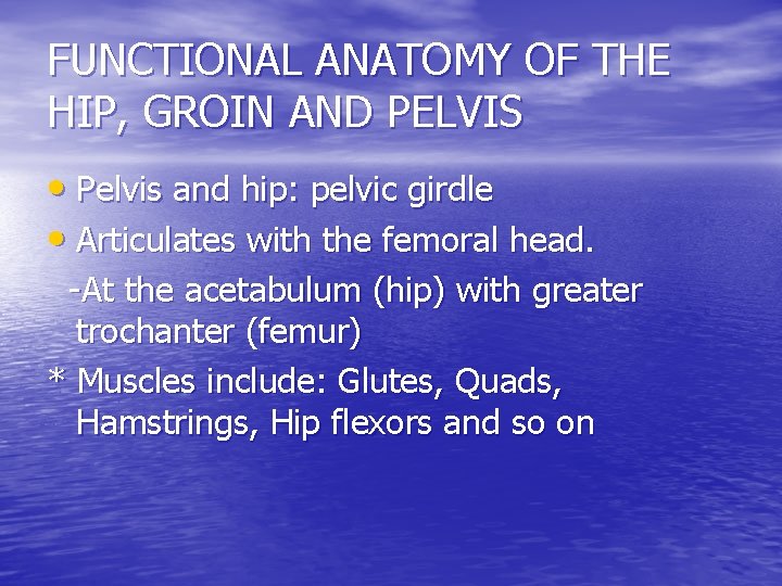 FUNCTIONAL ANATOMY OF THE HIP, GROIN AND PELVIS • Pelvis and hip: pelvic girdle