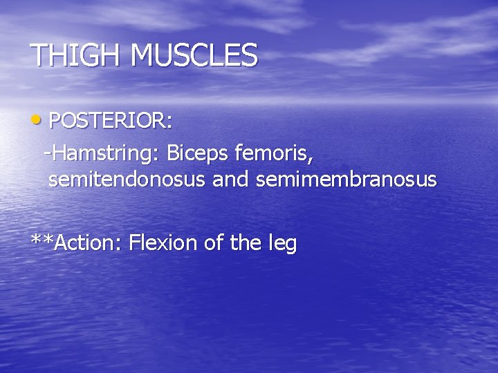 THIGH MUSCLES • POSTERIOR: -Hamstring: Biceps femoris, semitendonosus and semimembranosus **Action: Flexion of the