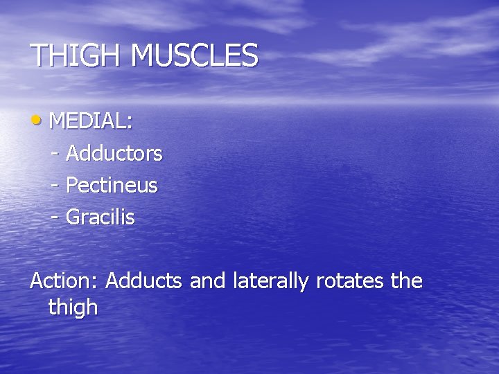 THIGH MUSCLES • MEDIAL: - Adductors - Pectineus - Gracilis Action: Adducts and laterally