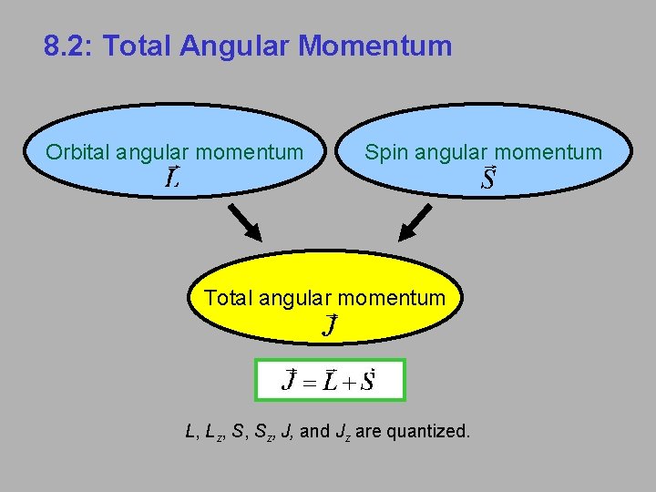 8. 2: Total Angular Momentum Orbital angular momentum Spin angular momentum Total angular momentum