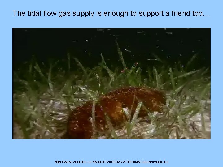 The tidal flow gas supply is enough to support a friend too… http: //www.