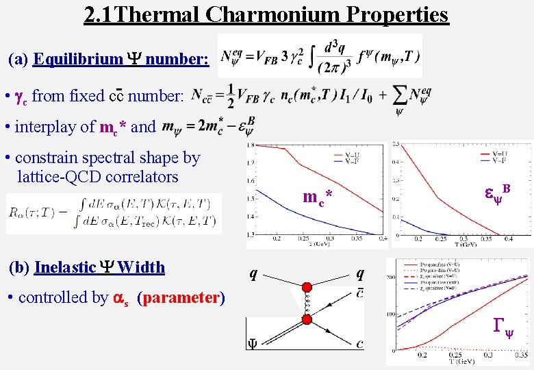 2. 1 Thermal Charmonium Properties (a) Equilibrium Y number: • gc from fixed cc-