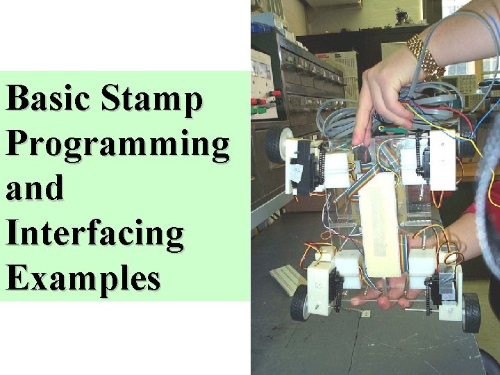 Basic Stamp Programming and Interfacing Examples 