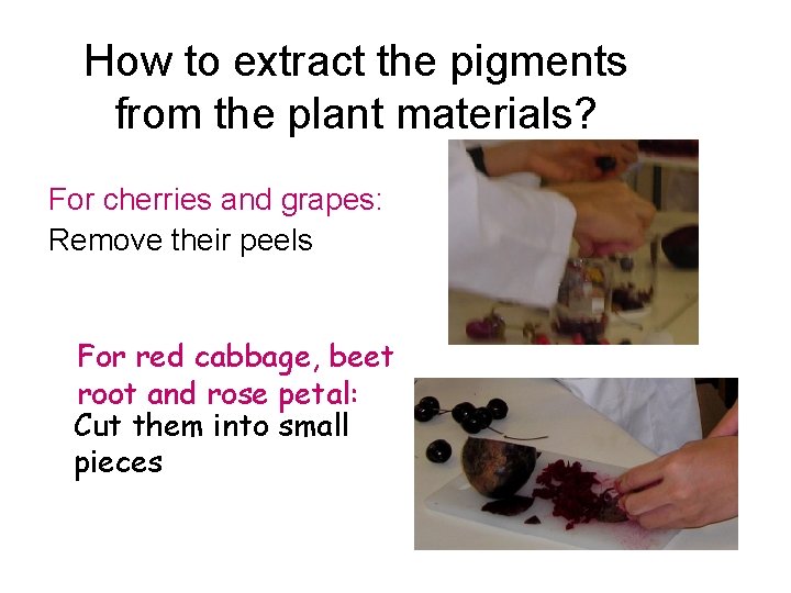 How to extract the pigments from the plant materials? For cherries and grapes: Remove