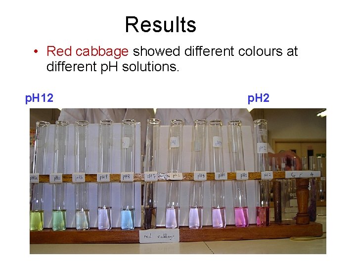 Results • Red cabbage showed different colours at different p. H solutions. p. H Results • Red cabbage showed different colours at different p. H solutions. p. H