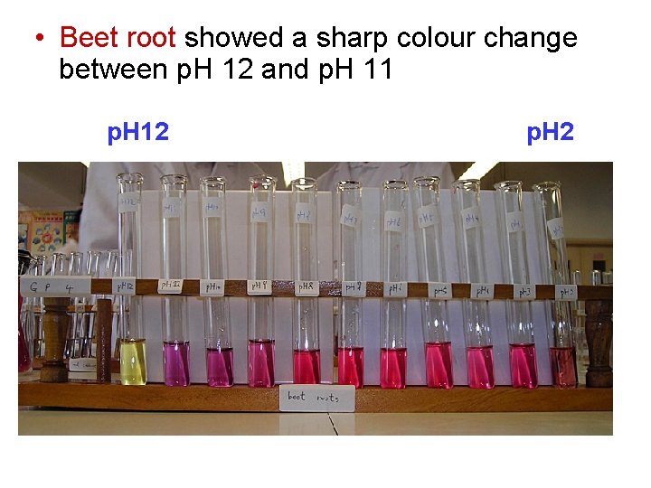 • Beet root showed a sharp colour change between p. H 12 and • Beet root showed a sharp colour change between p. H 12 and