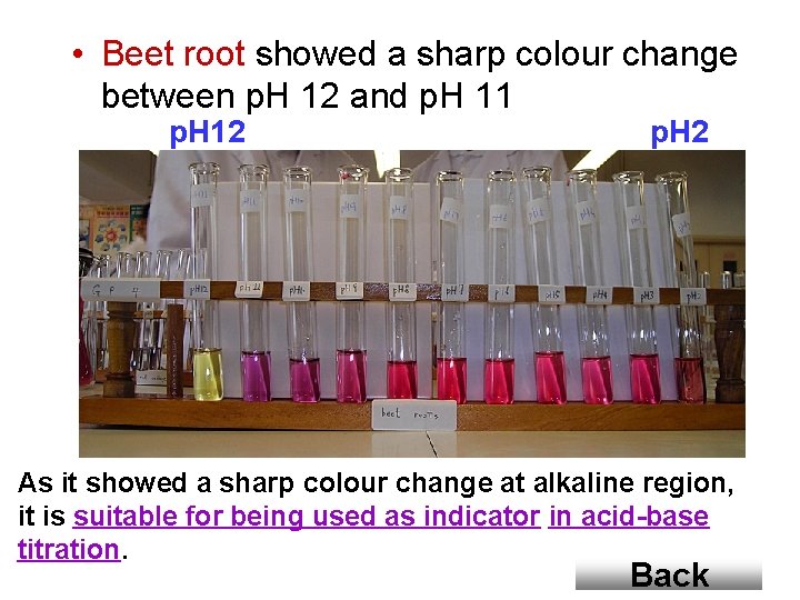  • Beet root showed a sharp colour change between p. H 12 and