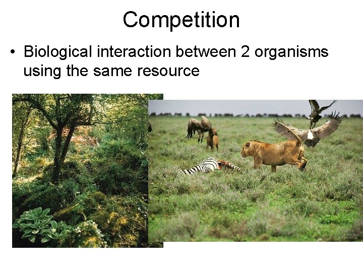 Competition • Biological interaction between 2 organisms using the same resource 