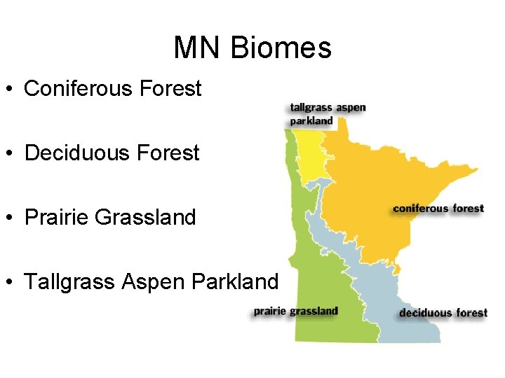 MN Biomes • Coniferous Forest • Deciduous Forest • Prairie Grassland • Tallgrass Aspen