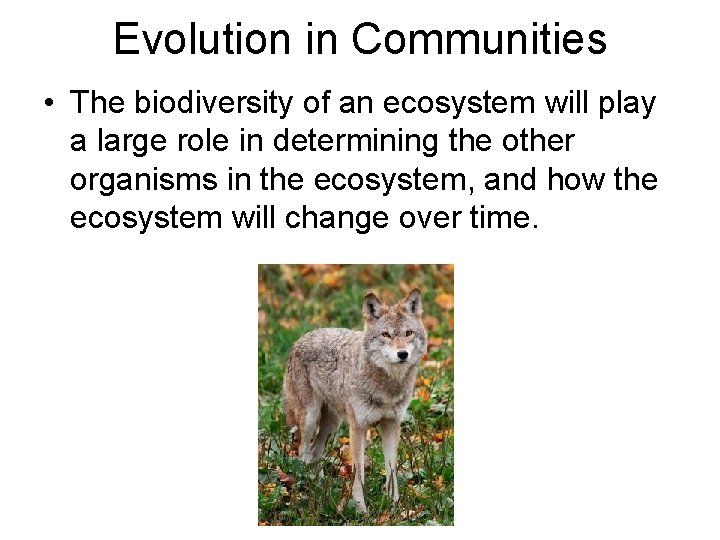 Evolution in Communities • The biodiversity of an ecosystem will play a large role