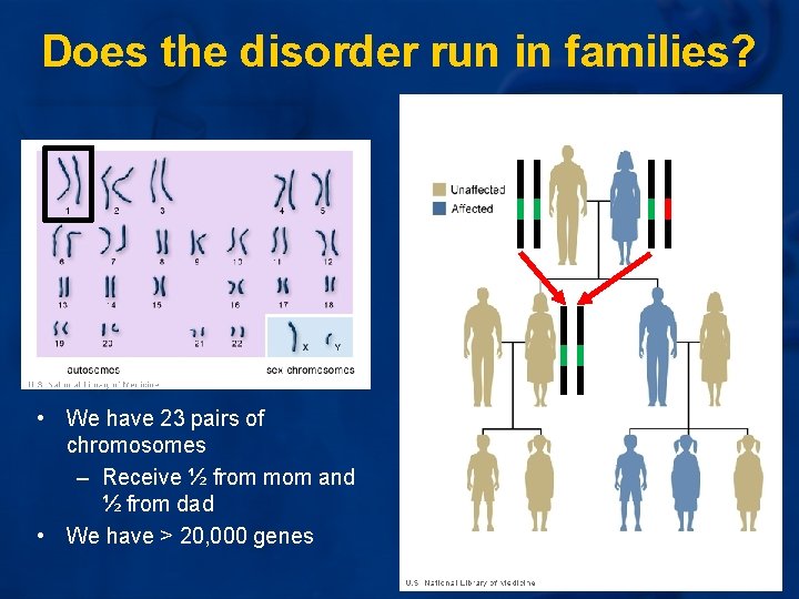 Does the disorder run in families? • We have 23 pairs of chromosomes – Does the disorder run in families? • We have 23 pairs of chromosomes –