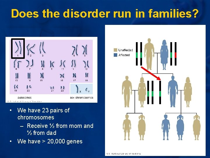 Does the disorder run in families? • We have 23 pairs of chromosomes – Does the disorder run in families? • We have 23 pairs of chromosomes –