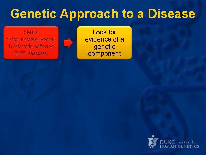 Genetic Approach to a Disease CM 1/S *Small Posterior Fossa* Define the 1) Affected/Unaffected Genetic Approach to a Disease CM 1/S *Small Posterior Fossa* Define the 1) Affected/Unaffected