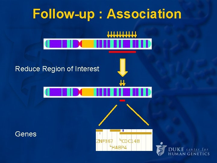 Follow-up : Association Reduce Region of Interest Genes Follow-up : Association Reduce Region of Interest Genes