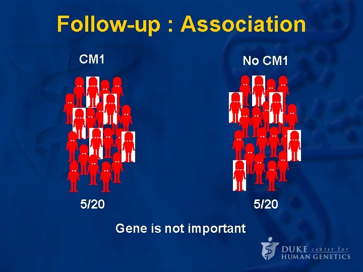 Follow-up : Association CM 1 No CM 1 5/20 Gene is not important Follow-up : Association CM 1 No CM 1 5/20 Gene is not important