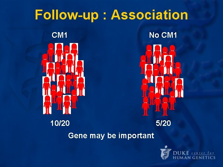Follow-up : Association CM 1 No CM 1 10/20 5/20 Gene may be important Follow-up : Association CM 1 No CM 1 10/20 5/20 Gene may be important