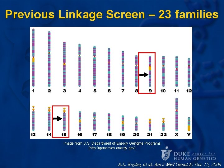 Previous Linkage Screen – 23 families Image from U. S. Department of Energy Genome Previous Linkage Screen – 23 families Image from U. S. Department of Energy Genome