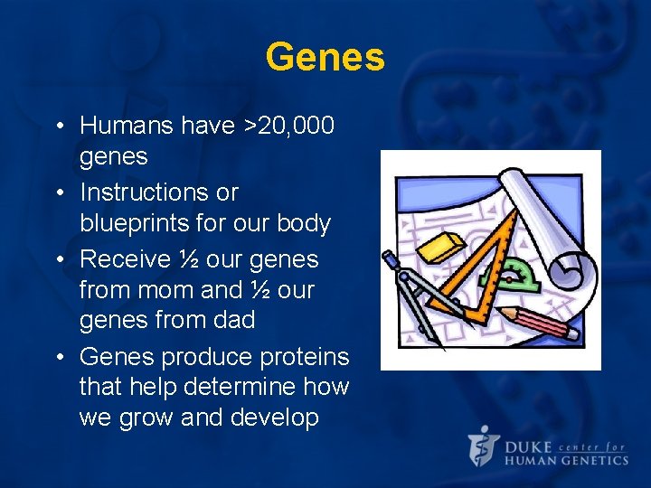 Genes • Humans have >20, 000 genes • Instructions or blueprints for our body Genes • Humans have >20, 000 genes • Instructions or blueprints for our body