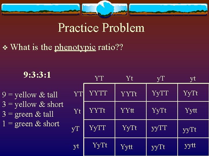 Practice Problem v What is the phenotypic ratio? ? 9: 3: 3: 1 9