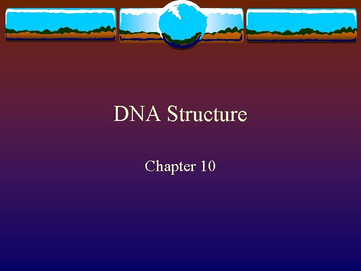 DNA Structure Chapter 10 