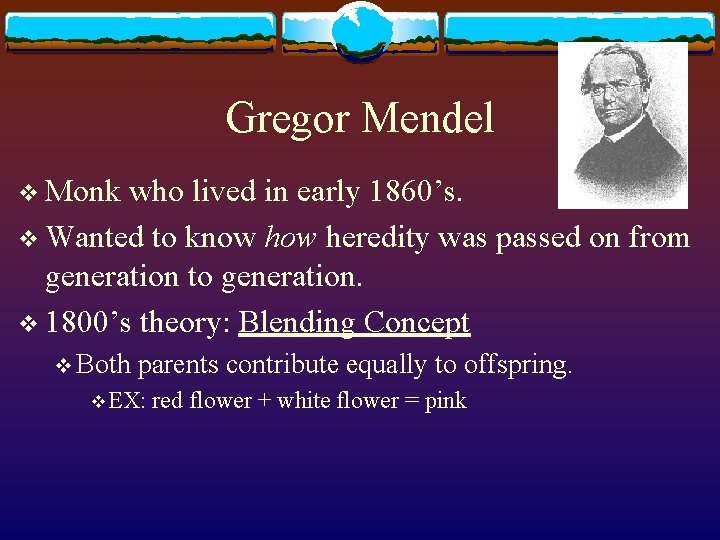 Gregor Mendel v Monk who lived in early 1860’s. v Wanted to know heredity