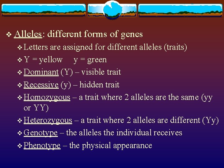 v Alleles: different forms of genes v Letters are assigned for different alleles (traits)