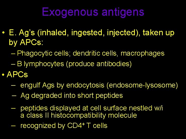 Exogenous antigens • E. Ag’s (inhaled, ingested, injected), taken up by APCs: – Phagocytic