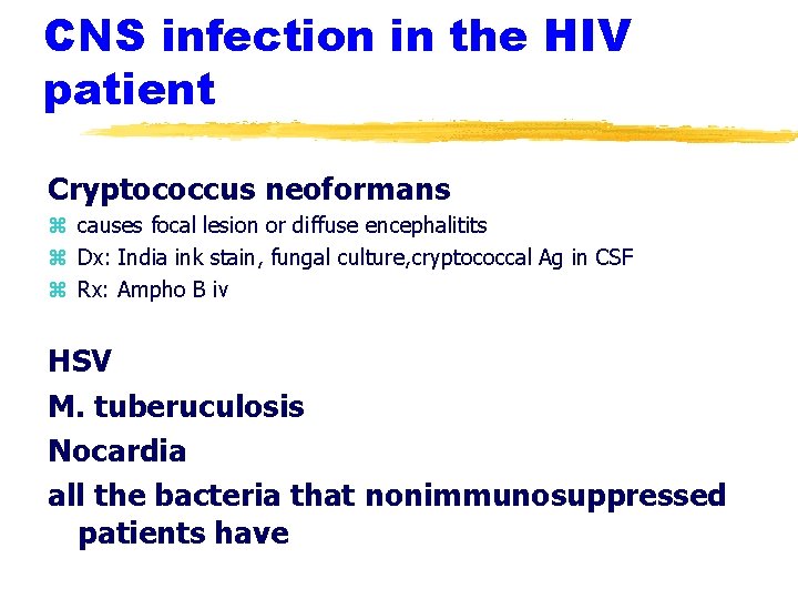 CNS infection in the HIV patient Cryptococcus neoformans z causes focal lesion or diffuse