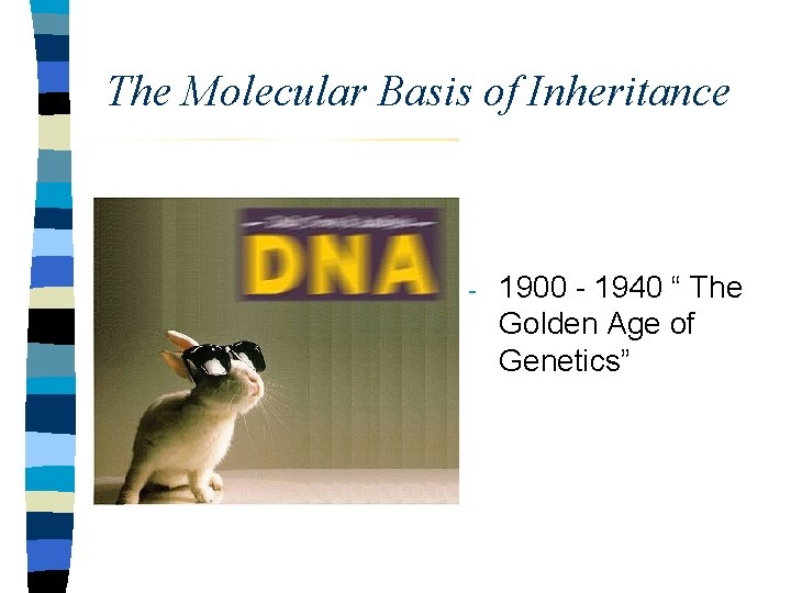 The Molecular Basis of Inheritance - 1900 - 1940 “ The Golden Age of