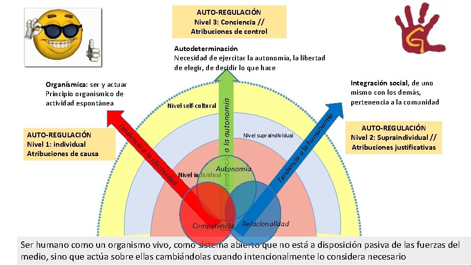 AUTO-REGULACIÓN Nivel 3: Conciencia // Atribuciones de control la d a id tiv ec