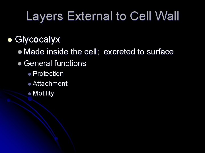 Layers External to Cell Wall l Glycocalyx l Made inside the cell; excreted to