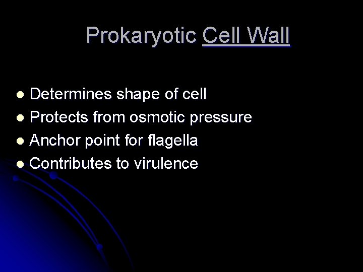 Prokaryotic Cell Wall Determines shape of cell l Protects from osmotic pressure l Anchor