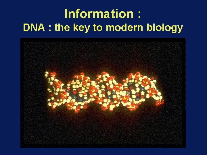 Information : DNA : the key to modern biology 