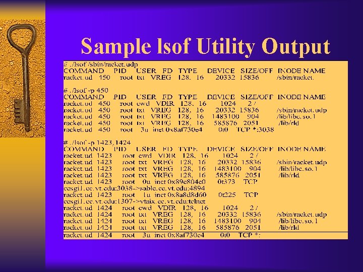 Sample lsof Utility Output 