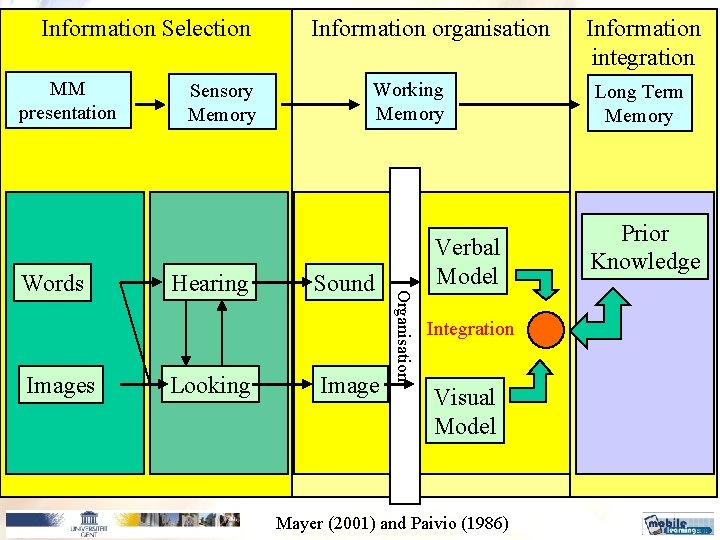 Information Selection MM presentation Images Hearing Looking Working Memory Sound Image Verbal Model Organisation Information Selection MM presentation Images Hearing Looking Working Memory Sound Image Verbal Model Organisation