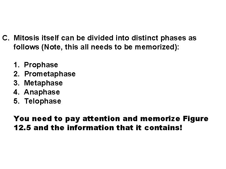 C. Mitosis itself can be divided into distinct phases as follows (Note, this all