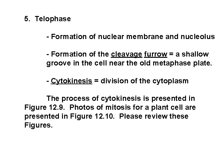 5. Telophase - Formation of nuclear membrane and nucleolus - Formation of the cleavage