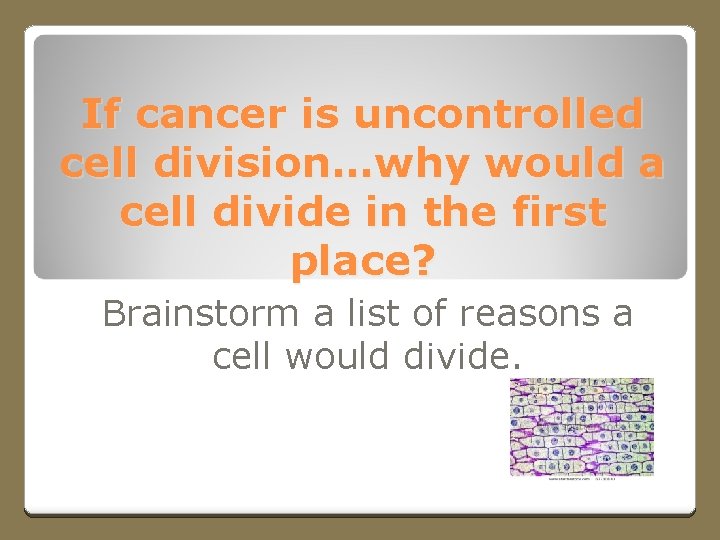 If cancer is uncontrolled cell division…why would a cell divide in the first place?