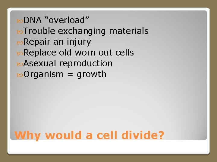  DNA “overload” Trouble exchanging materials Repair an injury Replace old worn out cells