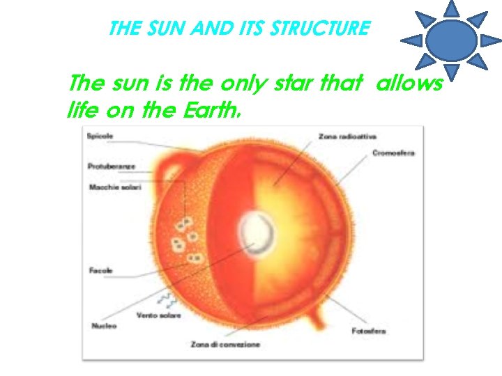 THE SUN AND ITS STRUCTURE The sun is the only star that allows life