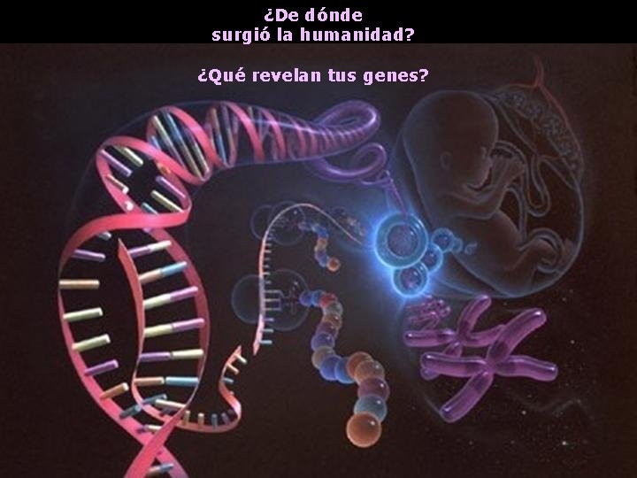 ¿De dónde surgió la humanidad? ¿Qué revelan tus genes? 