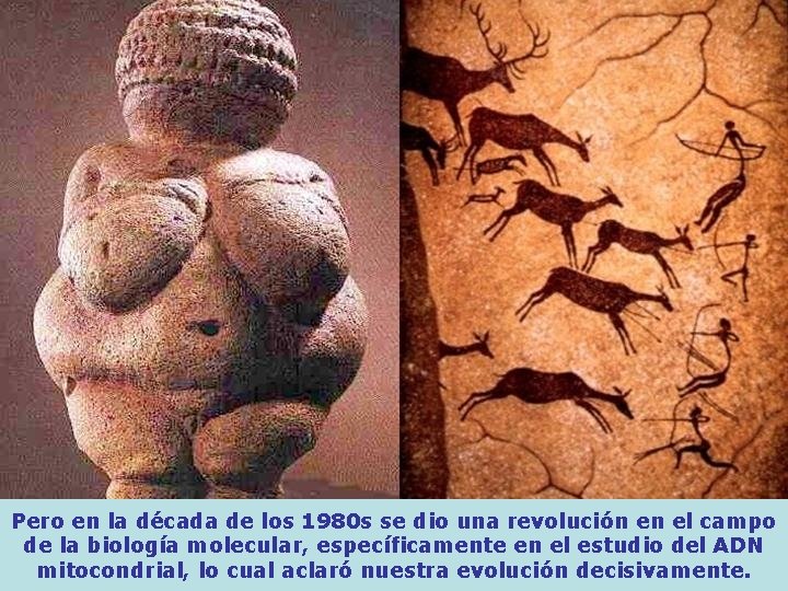 Pero en la década de los 1980 s se dio una revolución en el