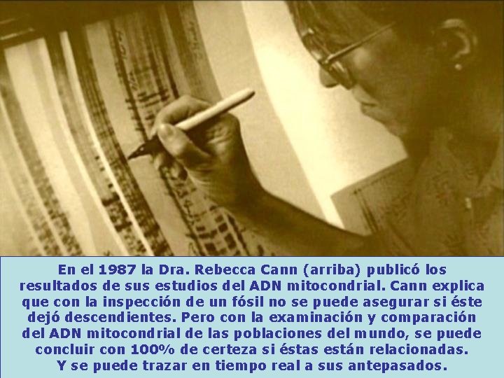 En el 1987 la Dra. Rebecca Cann (arriba) publicó los resultados de sus estudios