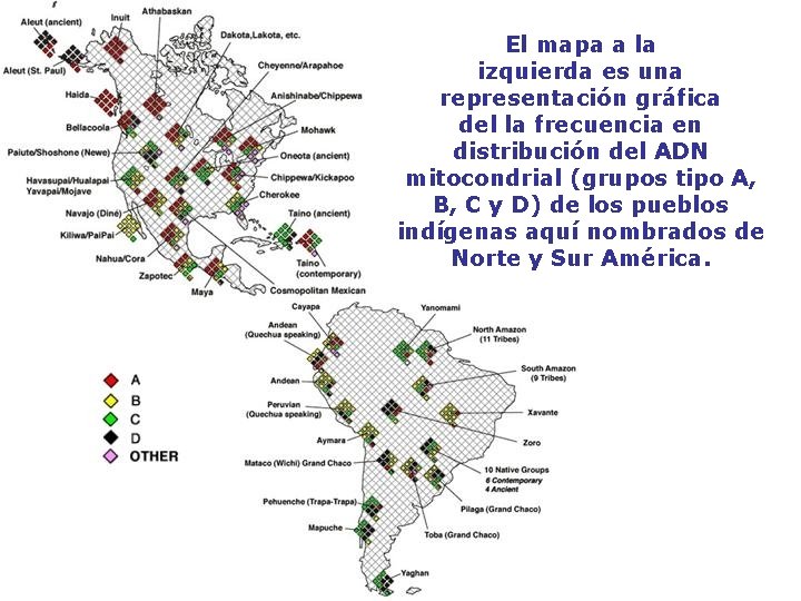 El mapa a la izquierda es una representación gráfica del la frecuencia en distribución