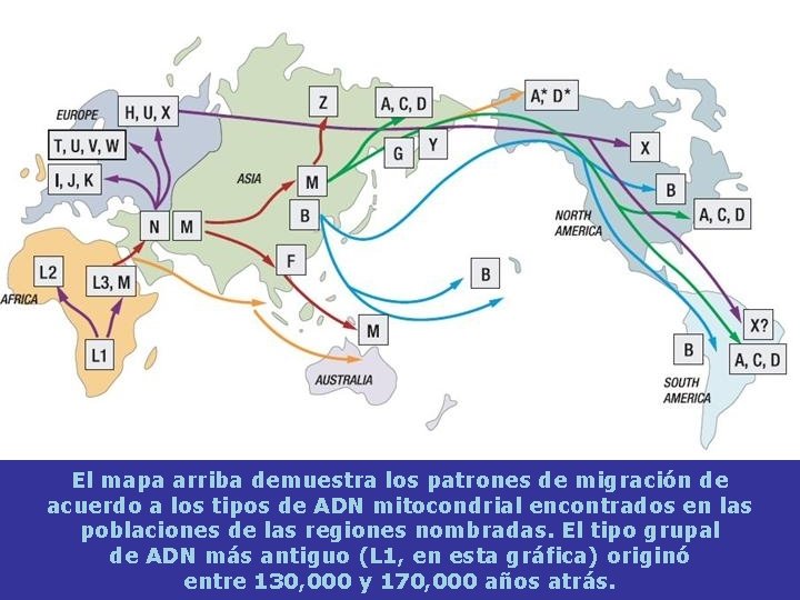 El mapa arriba demuestra los patrones de migración de acuerdo a los tipos de