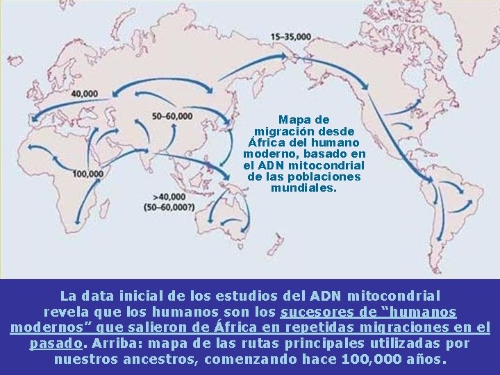 Mapa de migración desde África del humano moderno, basado en el ADN mitocondrial de