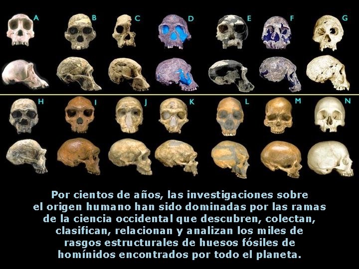 Por cientos de años, las investigaciones sobre el origen humano han sido dominadas por