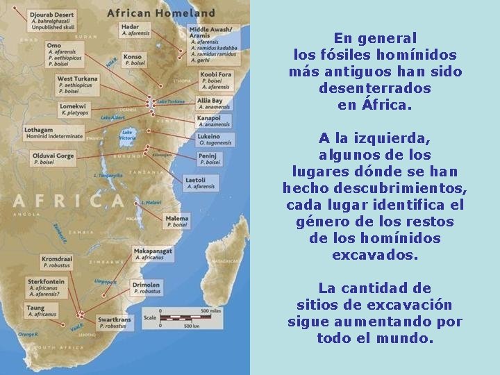 En general los fósiles homínidos más antiguos han sido desenterrados en África. A la