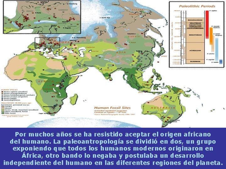 Por muchos años se ha resistido aceptar el origen africano del humano. La paleoantropología