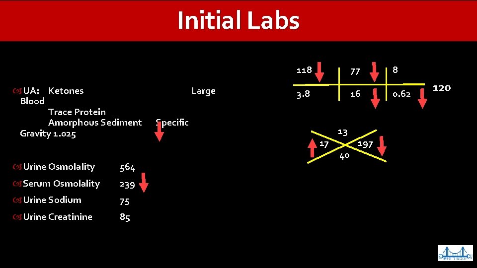 Initial Labs CK 630 Index 1. 4 UA: Troponin Ketones <0. 01 Large Blood